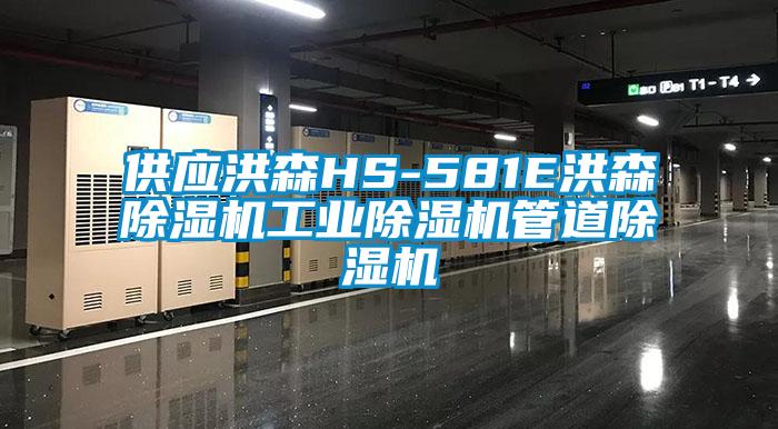 供应洪森HS-581E洪森除湿机工业除湿机管道除湿机