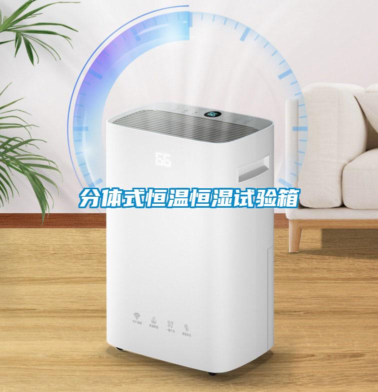 分体式恒温恒湿试验箱