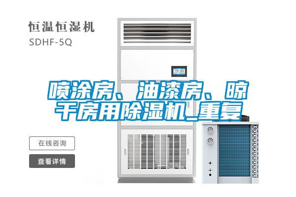 喷涂房、油漆房、晾干房用除湿机_重复