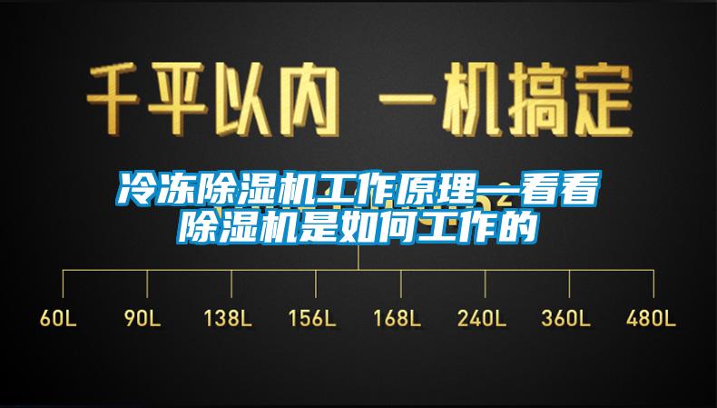 冷冻除湿机工作原理—看看除湿机是如何工作的