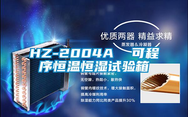 HZ-2004A  可程序恒温恒湿试验箱