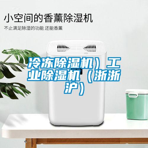 冷冻除湿机）工业除湿机（浙浙沪）