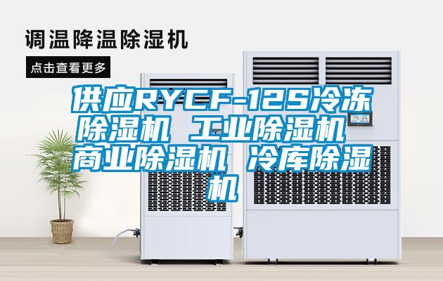 供应RYCF-12S冷冻除湿机 工业除湿机 商业除湿机 冷库除湿机