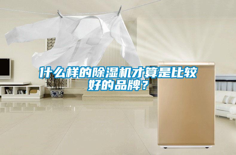 什么样的除湿机才算是比较好的品牌？