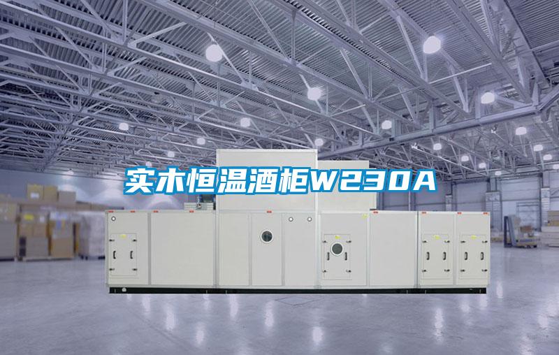 实木恒温酒柜W230A