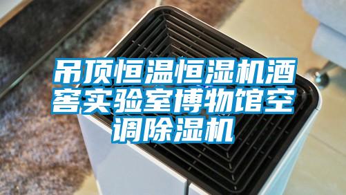 吊顶恒温恒湿机酒窖实验室博物馆空调除湿机