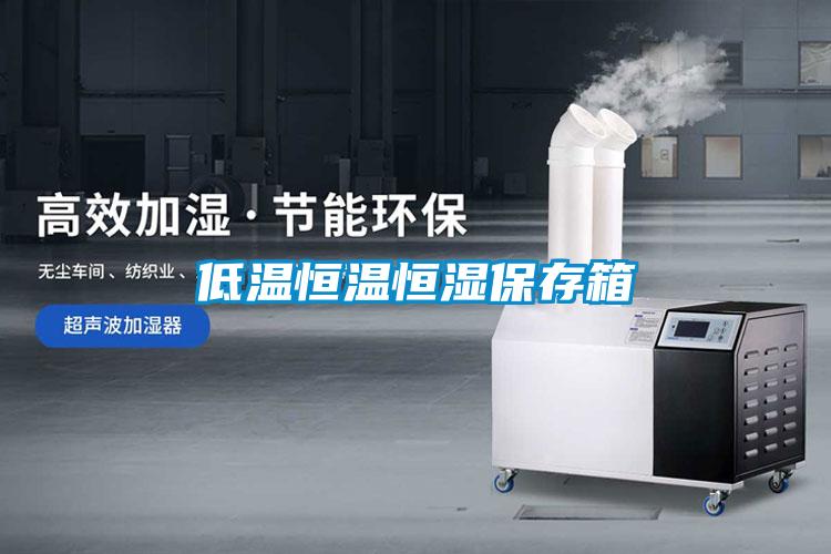 低温恒温恒湿保存箱