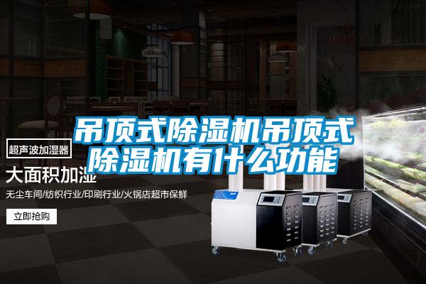 吊顶式除湿机吊顶式除湿机有什么功能