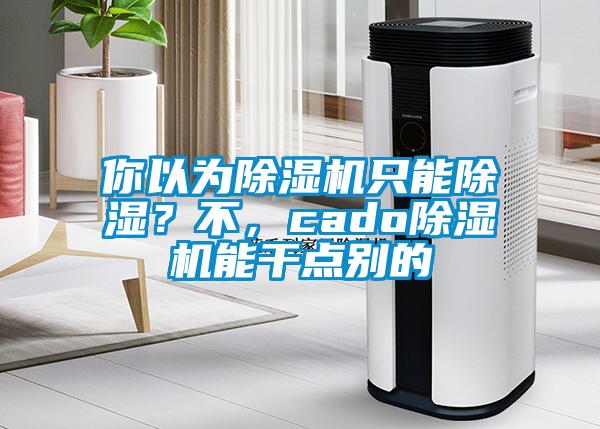 你以为除湿机只能除湿？不，cado除湿机能干点别的