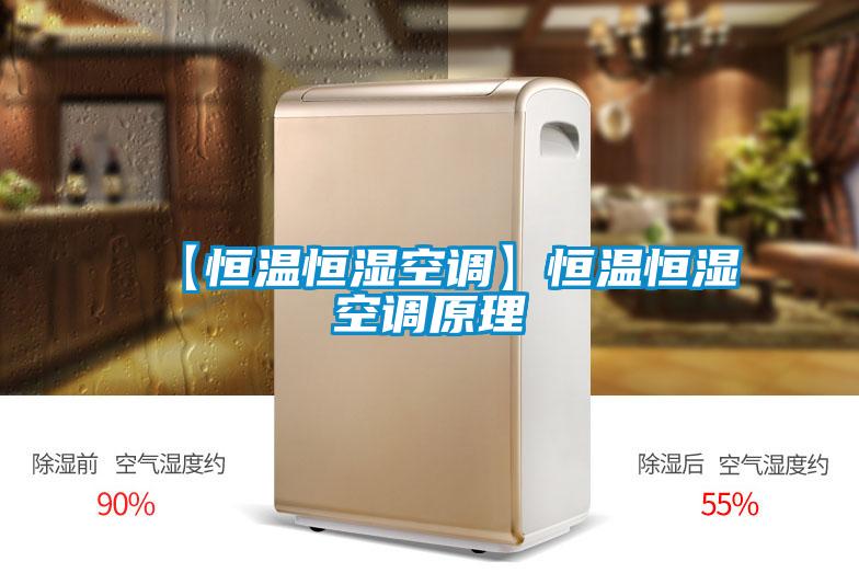 【恒温恒湿空调】恒温恒湿空调原理
