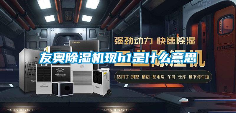 友奥除湿机现h1是什么意思