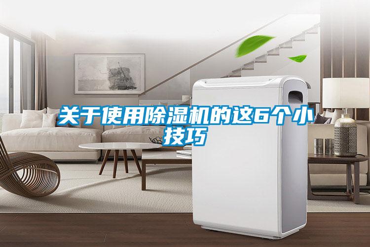 关于使用除湿机的这6个小技巧