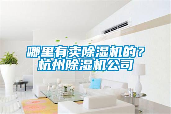 哪里有卖除湿机的？杭州除湿机公司