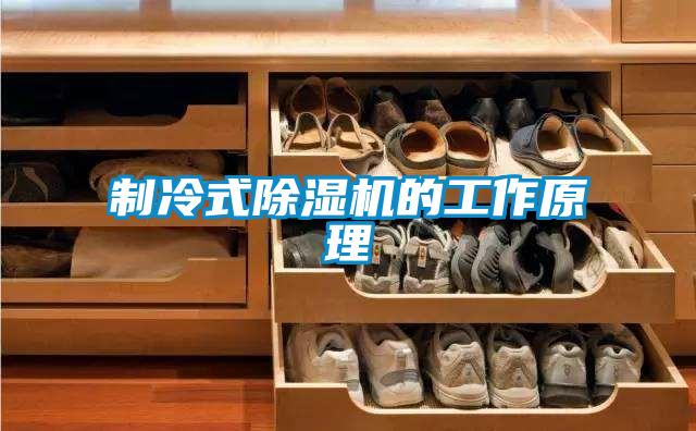 制冷式除湿机的工作原理