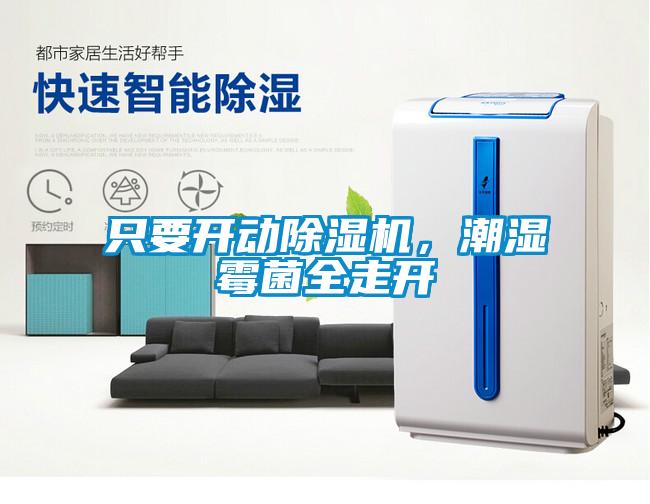 只要开动除湿机，潮湿霉菌全走开