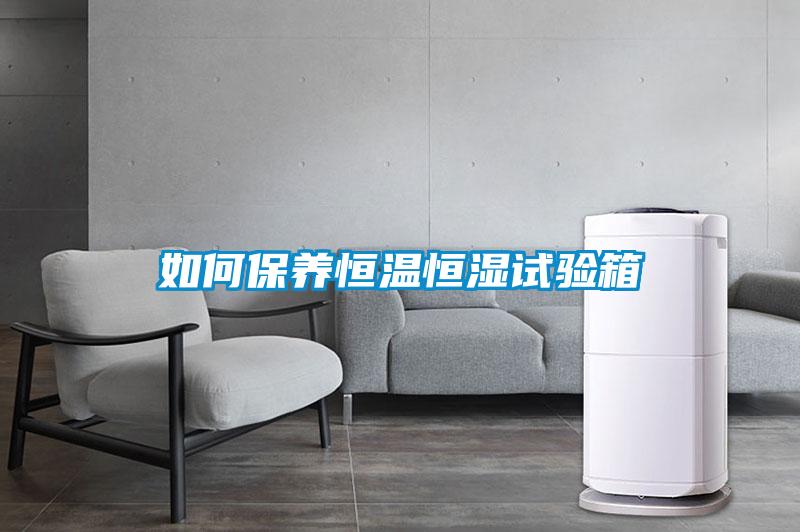 如何保养恒温恒湿试验箱