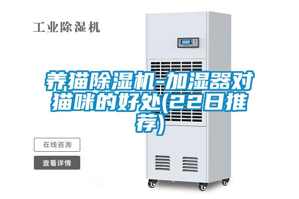 养猫除湿机-加湿器对猫咪的好处(22日推荐)