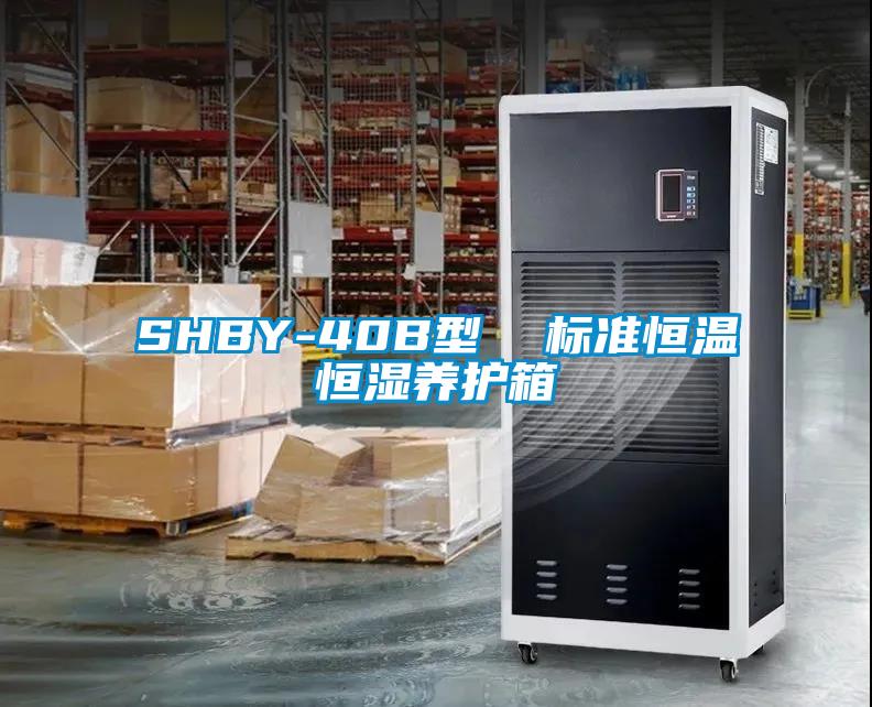 SHBY-40B型 标准恒温恒湿养护箱