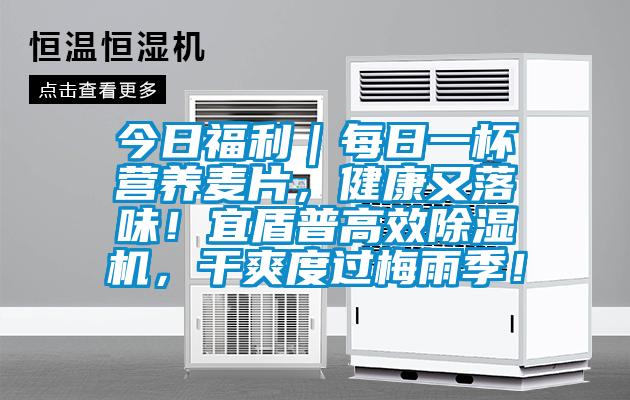 今日福利｜每日一杯营养麦片，健康又落味！宜盾普高效除湿机，干爽度过梅雨季！