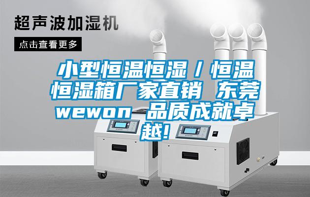 小型恒温恒湿／恒温恒湿箱厂家直销 东莞wewon 品质成就卓越!