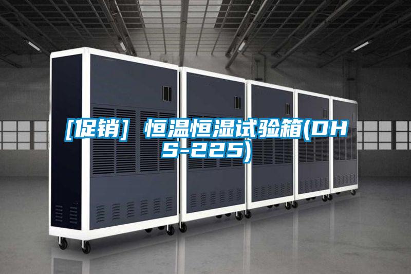 [促销] 恒温恒湿试验箱(DHS-225)