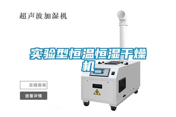 实验型恒温恒湿干燥机