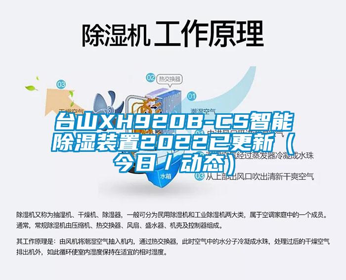台山XH920B-CS智能除湿装置2022已更新（今日／动态）