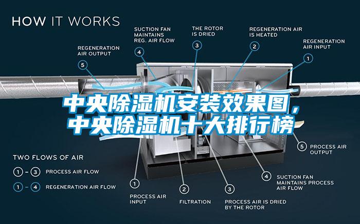 中央除湿机安装效果图，中央除湿机十大排行榜