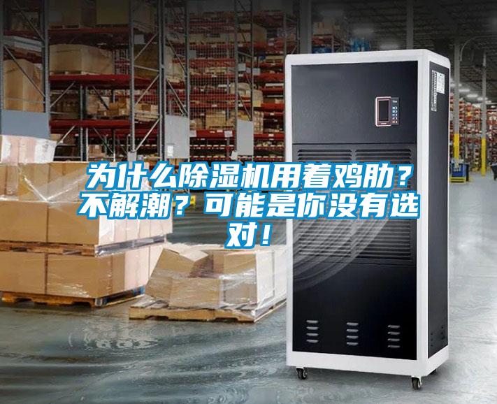 为什么除湿机用着鸡肋？不解潮？可能是你没有选对！