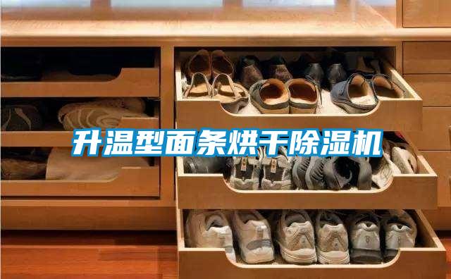升温型面条烘干除湿机