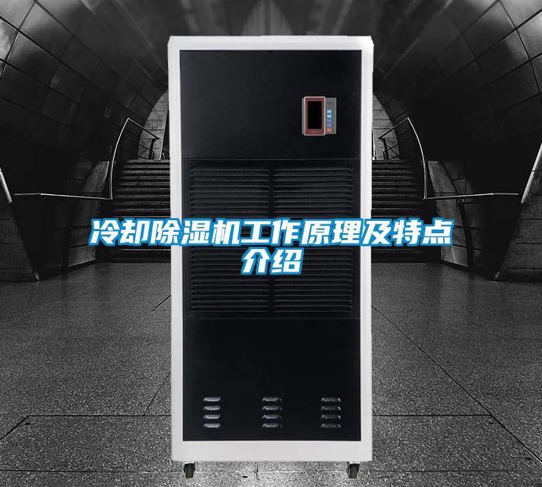 冷却除湿机工作原理及特点介绍