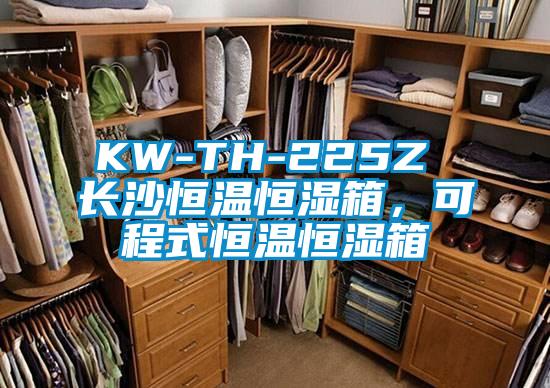 KW-TH-225Z 长沙恒温恒湿箱，可程式恒温恒湿箱