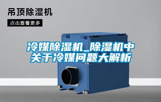 冷媒除湿机_除湿机中关于冷媒问题大解析