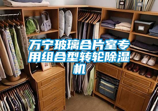 万宁玻璃合片室专用组合型转轮除湿机