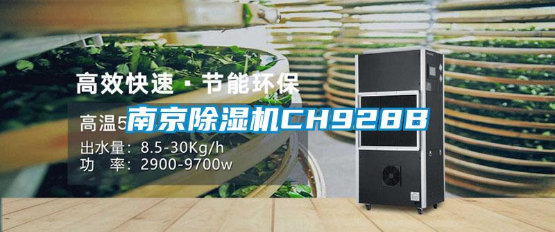 南京除湿机CH928B