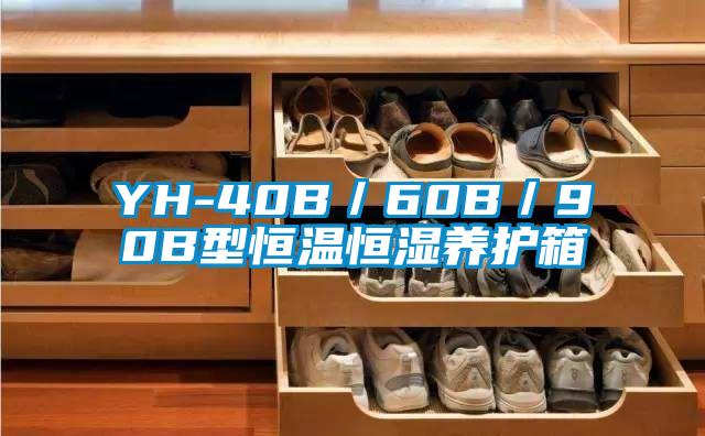 YH-40B/60B/90B型恒温恒湿养护箱