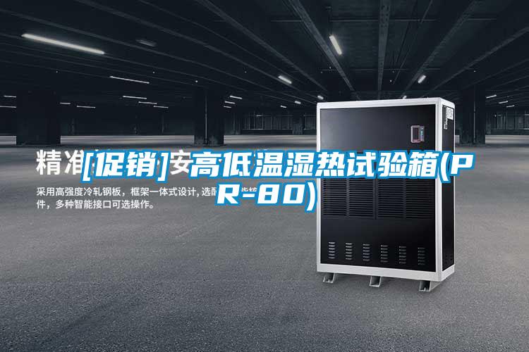 [促销] 高低温湿热试验箱(PR-80)