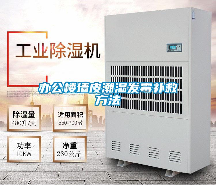 办公楼墙皮潮湿发霉补救方法