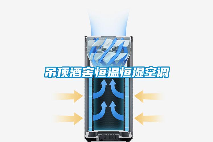 吊顶酒窖恒温恒湿空调