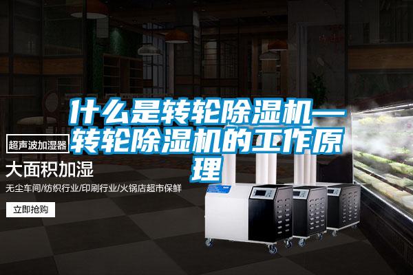 什么是转轮除湿机—转轮除湿机的工作原理
