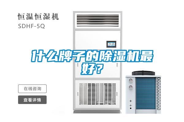 什么牌子的除湿机最好？