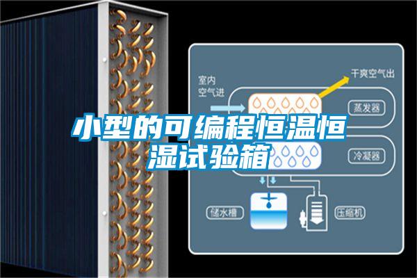 小型的可编程恒温恒湿试验箱