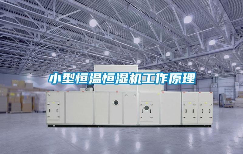 小型恒温恒湿机工作原理