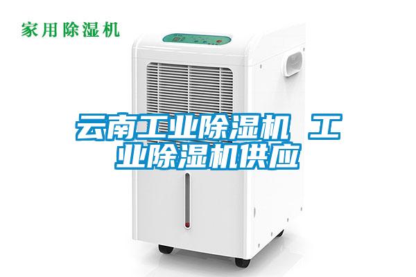 云南工业除湿机 工业除湿机供应