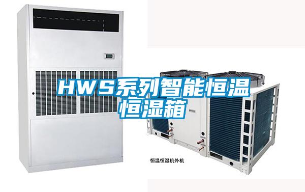 HWS系列智能恒温恒湿箱