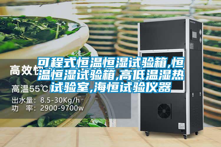 可程式恒温恒湿试验箱,恒温恒湿试验箱,高低温湿热试验室,海恒试验仪器