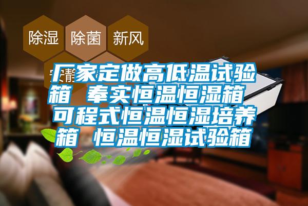 厂家定做高低温试验箱 奉实恒温恒湿箱 可程式恒温恒湿培养箱 恒温恒湿试验箱