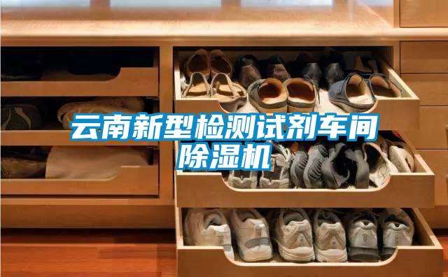 云南新型检测试剂车间除湿机