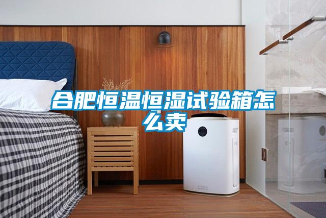 合肥恒温恒湿试验箱怎么卖