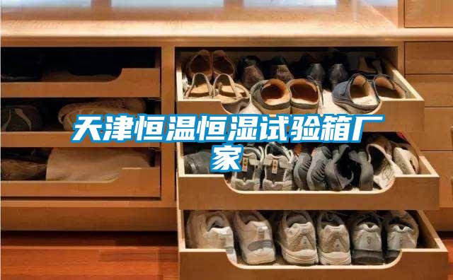 天津恒温恒湿试验箱厂家